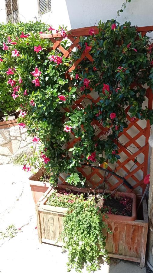 Vila Gatti E Mare Salerno Exteriér fotografie